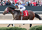Alternation Remains in Training for Fall Alternation Remains in Training for Fall