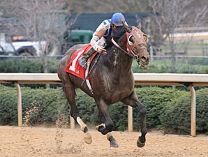 Millionaire Alternation to Stand at Pin Oak Millionaire Alternation to Stand at Pin Oak