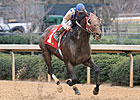 Millionaire Alternation to Stand at Pin Oak Millionaire Alternation to Stand at Pin Oak