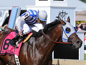 Alternation Edges Nehro in Pimlico Special Alternation Edges Nehro in Pimlico Special