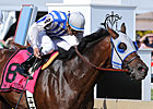 Alternation Edges Nehro in Pimlico Special