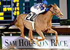 Stakes Winner Always in My Heart Retired Stakes Winner Always in My Heart Retired
