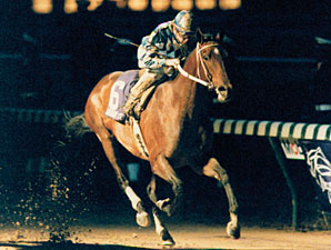 Alysheba to Return to U.S. Alysheba to Return to U.S.