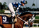 Slideshow: Alysheba