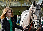 Teenage Horse Lover Integral Part of Donegal Teenage Horse Lover Integral Part of Donegal