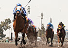 Hollywood Reports Slight Dip in Wagering Hollywood Reports Slight Dip in Wagering