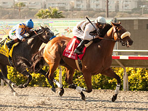 Amazombie Primed for Second Sprint Attack Amazombie Primed for Second Sprint Attack