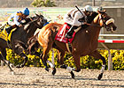 Amazombie Primed for Second Sprint Attack Amazombie Primed for Second Sprint Attack
