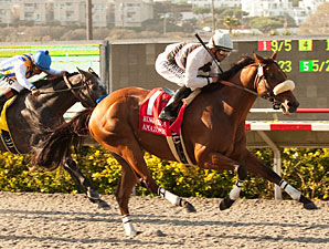 Favored Amazombie Eyeing a Sprint Repeat Favored Amazombie Eyeing a Sprint Repeat