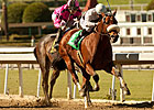 Champ Amazombie Heads Potrero Grande Field