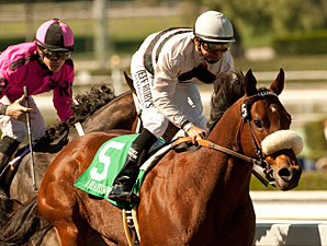 Cal-Bred Amazombie Takes Shot in BC Sprint