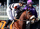 Rank the 25 Most Intriguing Horses & People Rank the 25 Most Intriguing Horses & People