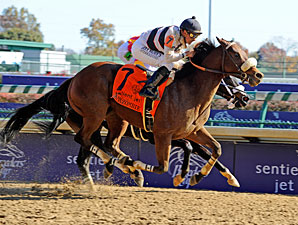 Amazombie Tracks Blazing Pace to Sprint Tally Amazombie Tracks Blazing Pace to Sprint Tally
