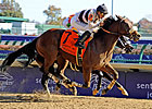 Amazombie May Not Run in Palos Verdes