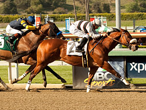 Sprint Champ Amazombie Heads Churchill Downs Sprint Champ Amazombie Heads Churchill Downs