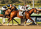 Sprint Champ Amazombie Heads Churchill Downs