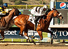 Amazombie, The Factor Renew Rivalry in Crosby Amazombie, The Factor Renew Rivalry in Crosby