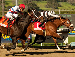 Amazombie Snaps to Life in Millions Sprint Amazombie Snaps to Life in Millions Sprint