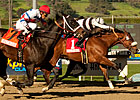 Amazombie Snaps to Life in Millions Sprint