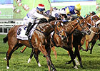 Amber Sky Sizzles in Al Quoz Sprint Victory Amber Sky Sizzles in Al Quoz Sprint Victory