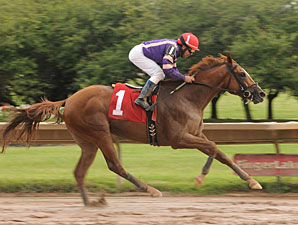 NY Derby Goes Swimmingly for Amberjack NY Derby Goes Swimmingly for Amberjack