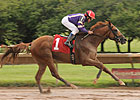 NY Derby Goes Swimmingly for Amberjack NY Derby Goes Swimmingly for Amberjack