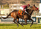 Ambitious Brew: A Horse for the Course Ambitious Brew: A Horse for the Course