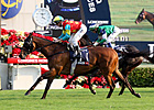 Ambitious Dragon Takes Hong Kong Mile Ambitious Dragon Takes Hong Kong Mile