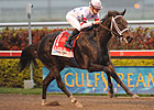 Dutrow Horse to Remain in Vinery Madison Dutrow Horse to Remain in Vinery Madison