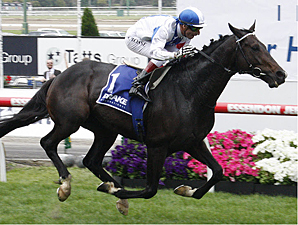 Americain Eyeing Another Melbourne Cup Americain Eyeing Another Melbourne Cup