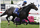 Americain Eyeing Another Melbourne Cup Americain Eyeing Another Melbourne Cup