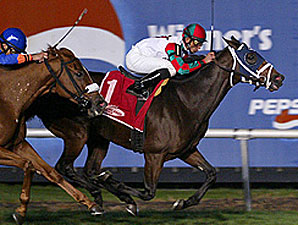 American Border Rides Rail to Violet Win American Border Rides Rail to Violet Win