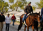 American Lion Breezes at Keeneland