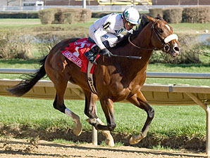 American Lion Wire-to-Wire in Illinois Derby