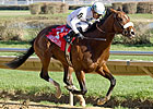 American Lion Wire-to-Wire in Illinois Derby American Lion Wire-to-Wire in Illinois Derby