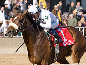 American Lion Retires; to Stand at Darby Dan American Lion Retires; to Stand at Darby Dan