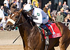 American Lion Retires; to Stand at Darby Dan American Lion Retires; to Stand at Darby Dan