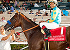 American Pharoah Returning to Action in March American Pharoah Returning to Action in March