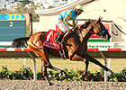 American Pharoah Tops 162 Blue Grass Nominees American Pharoah Tops 162 Blue Grass Nominees