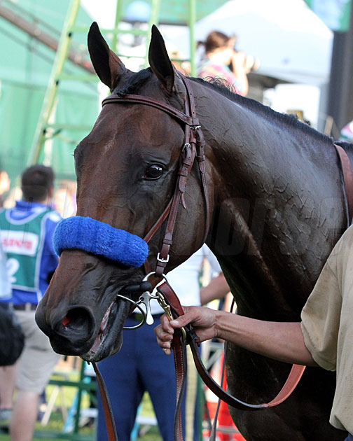 American Pharoah