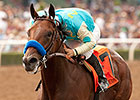 American Pharoah is Champion 2-Year-Old Male American Pharoah is Champion 2-Year-Old Male