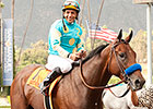 American Pharoah Shows Readiness for Rebel American Pharoah Shows Readiness for Rebel