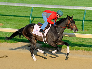 Amie's Dini Has Initial Work at Churchill Amie's Dini Has Initial Work at Churchill