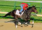 Amie's Dini Has Initial Work at Churchill Amie's Dini Has Initial Work at Churchill