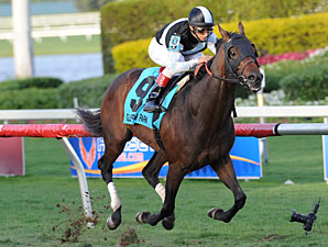 Amira's Prince Streak on Line in GP Turf 'Cap Amira's Prince Streak on Line in GP Turf 'Cap