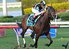 Amira's Prince Streak on Line in GP Turf 'Cap Amira's Prince Streak on Line in GP Turf 'Cap