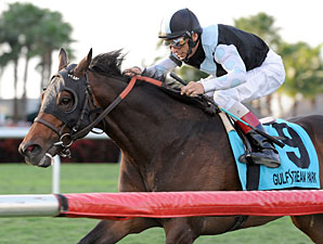 Mac Diarmida: Amira's Prince Has Perfect Run Mac Diarmida: Amira's Prince Has Perfect Run
