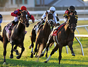Amira's Prince Maintains Hot Streak in Muniz Amira's Prince Maintains Hot Streak in Muniz