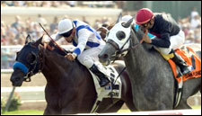 Amorama Gets Clear Sailing, Wins Mabee Amorama Gets Clear Sailing, Wins Mabee
