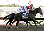 Hal's Hope: Anak Nakal Makes 4 YO Debut Hal's Hope: Anak Nakal Makes 4 YO Debut